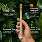 Brosse à dents BRIZE en poils de sanglier et bambou (paquet de 4)