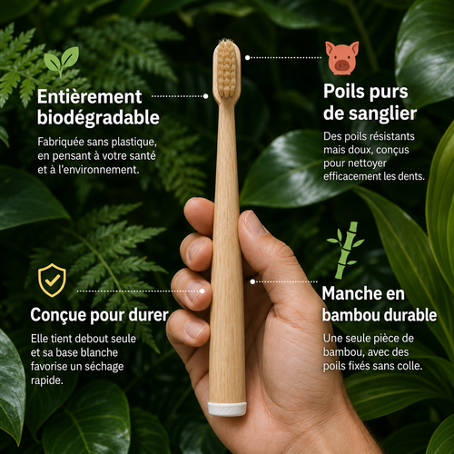 Brosse à dents BRIZE en poils de sanglier et bambou (paquet de 4)