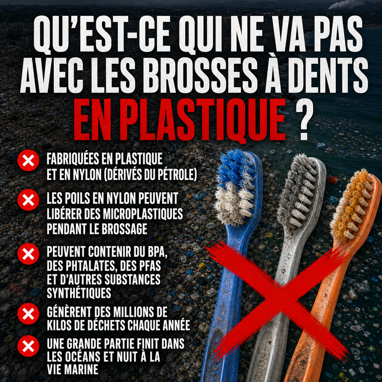 Brosse à dents BRIZE en poils de sanglier et bambou (paquet de 4)