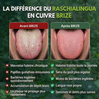Grattoir à langue 100% cuivre BRIZE