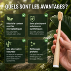 Brosse à dents BRIZE en poils de sanglier et bambou (paquet de 4)