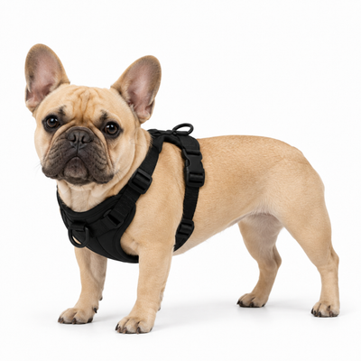 Arnés para bulldog francés