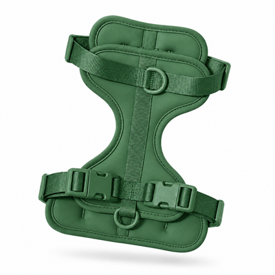 Beagle harness forest green