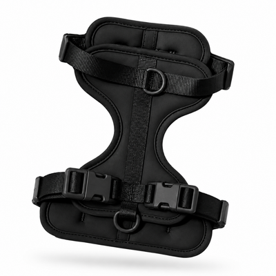 Beagle harness black