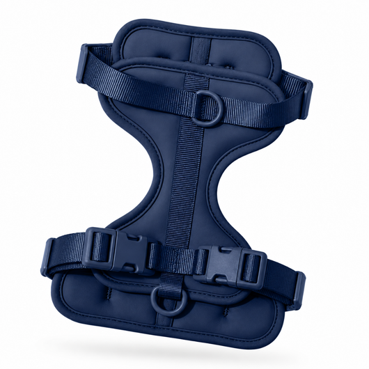Dachshund Harness