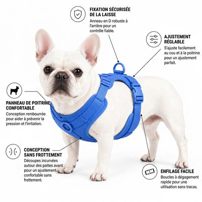 Arnés para bulldog francés