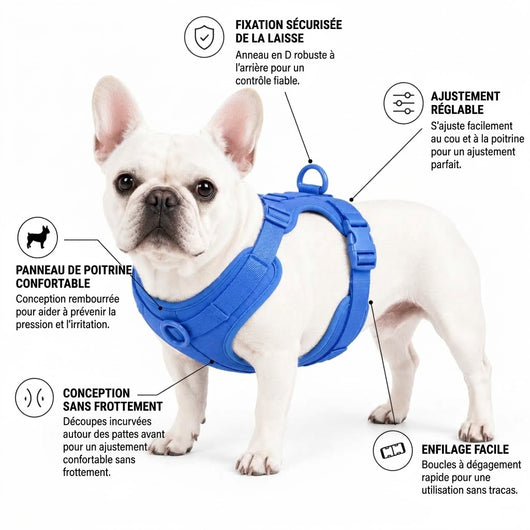 Arnés para bulldog francés