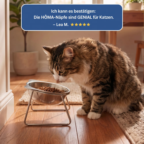 BRIZE™ - Orthopädischer Fressnapf