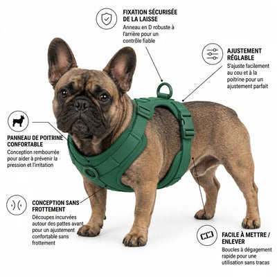 Arnés para bulldog francés