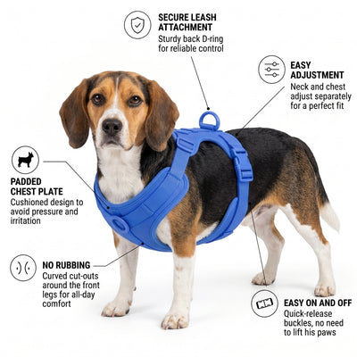 Beagle harness features - royal blue