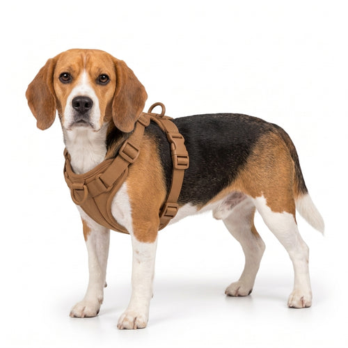 Beagle Harness
