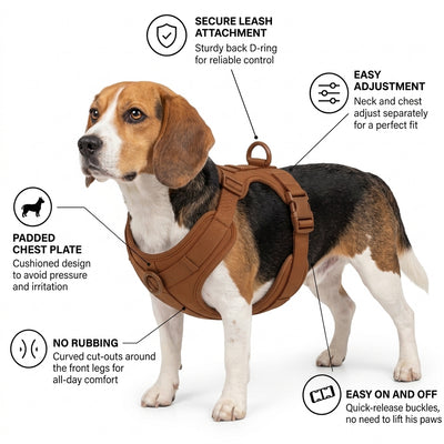 Beagle harness features - brown