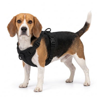 Beagle harness - black