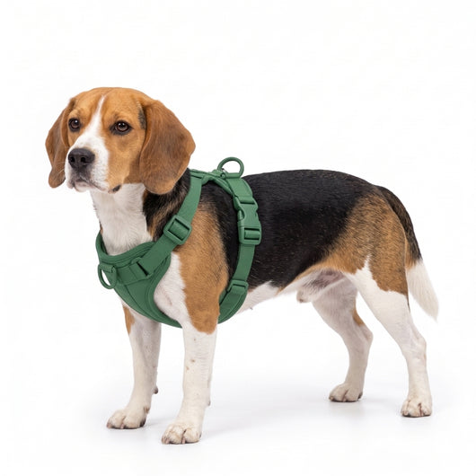 Beagle harness - forest green