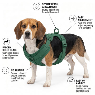 Beagle harness features - forest green