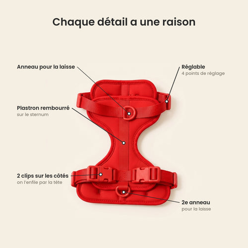 Dachshund Harness