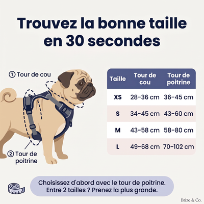 Guide des tailles carlin