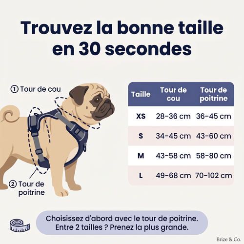 Pug Harness