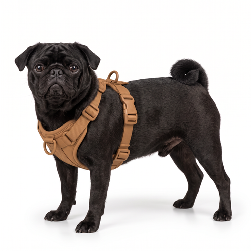 Pug Harness