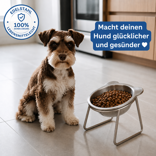 BRIZE™ - Orthopädischer Fressnapf