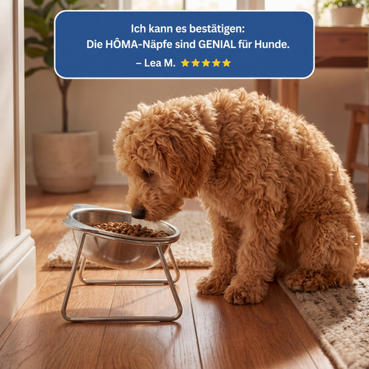 BRIZE™ - Orthopädischer Fressnapf